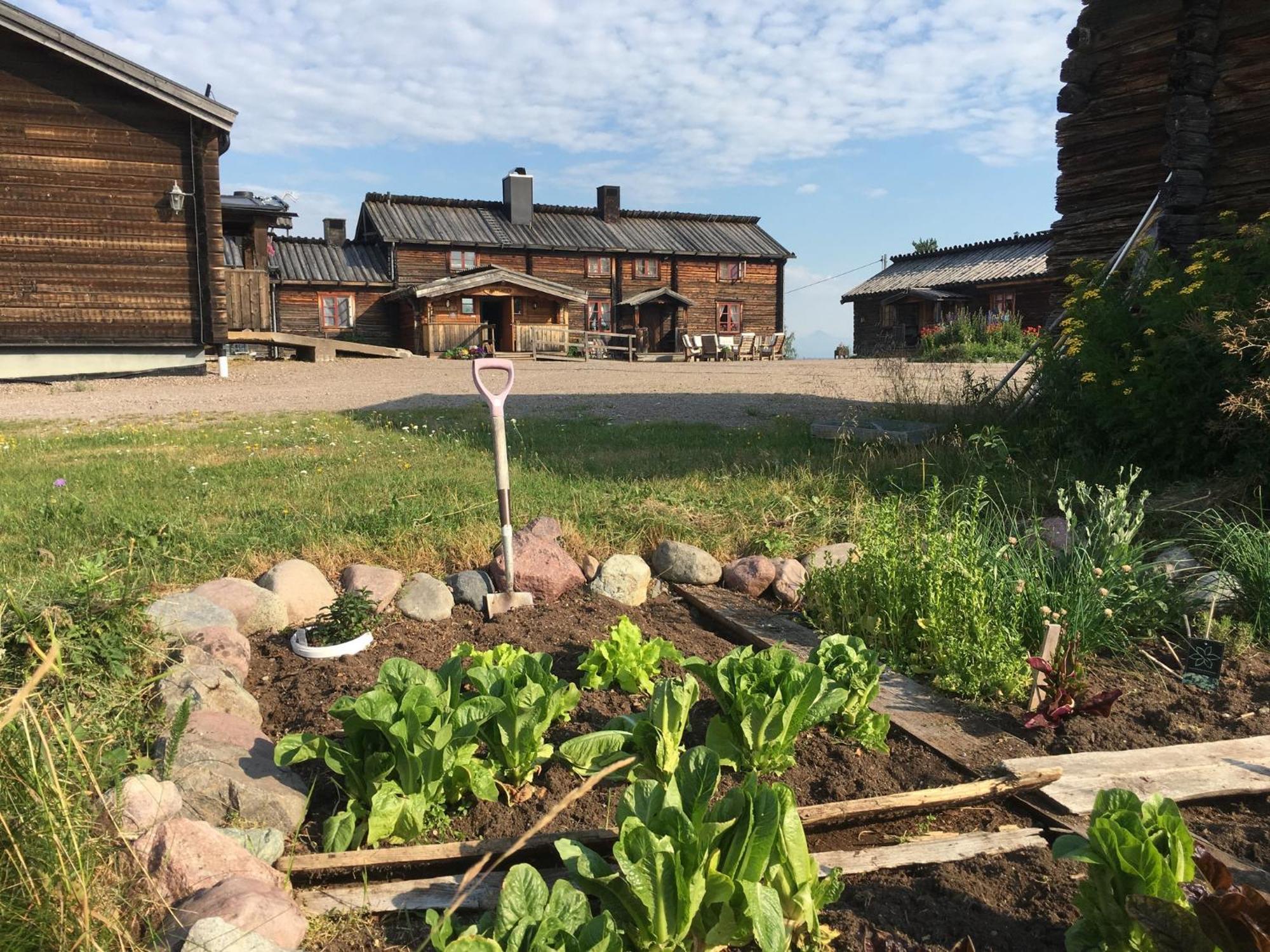 Knappgarden Särna Exterior foto